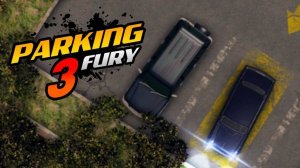 Precision Parking Pro 3