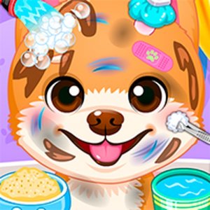 Sweet Berry Pet Clinic