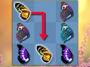 Butterfly Matching Deluxe Puzzle