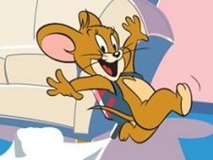 Mouse Aerial Adventure Flight