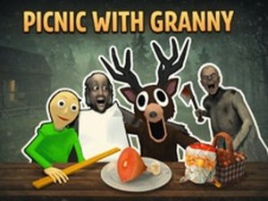 Grandma's Picnic Puzzle Quest