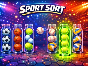 Sports Ball Organization Puzzle