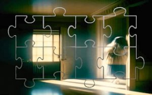 Image Grid Sliding Challenge