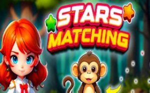 Number Link Stars Puzzle
