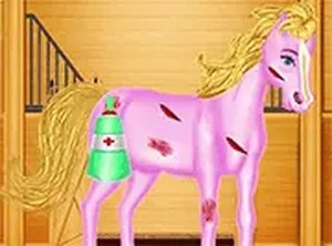 Pony Care and Style Studio