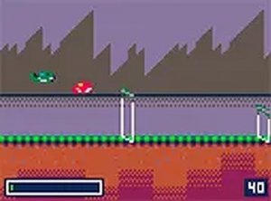 Snow Leap Racing